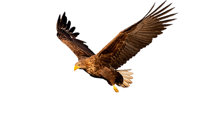 サムライストア SAMURAI STORE