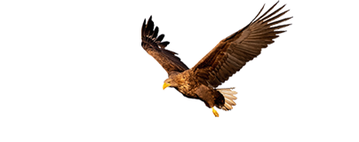 L005 (即納品) 赤黒桶側甲冑Ⅱ 特大 サイズ XL - サムライストア
